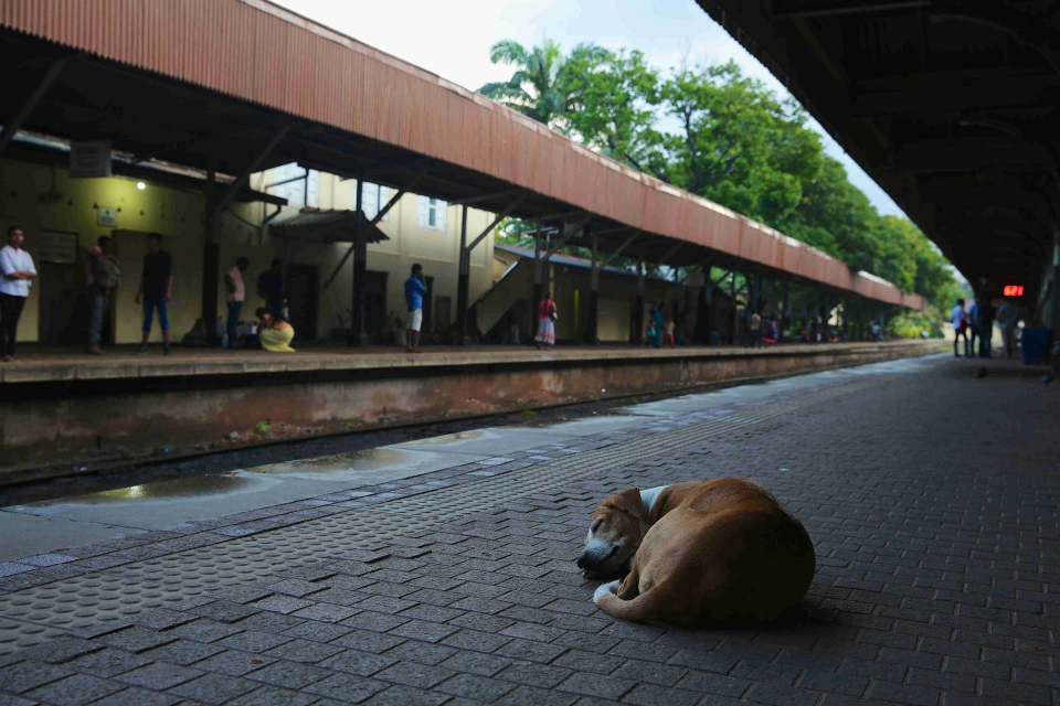 Foto ke galerii Srí Lanka