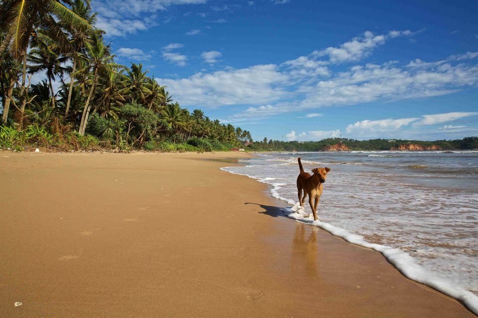 Foto ke galerii Srí Lanka