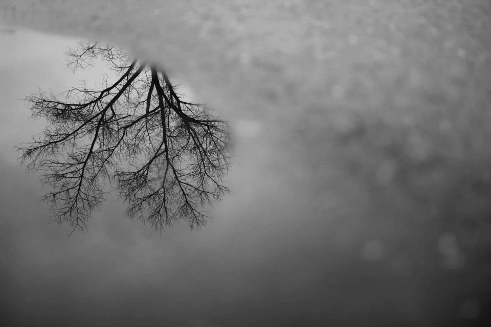 Foto ke galerii Projekt 365 (2015)