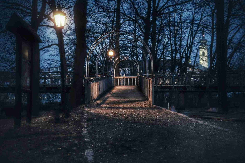 Foto ke galerii Projekt 365 (2015)
