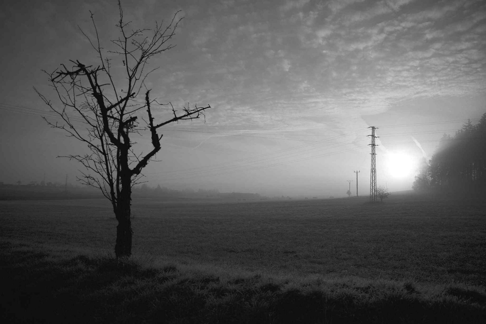 Foto ke galerii Projekt 365 (2015)
