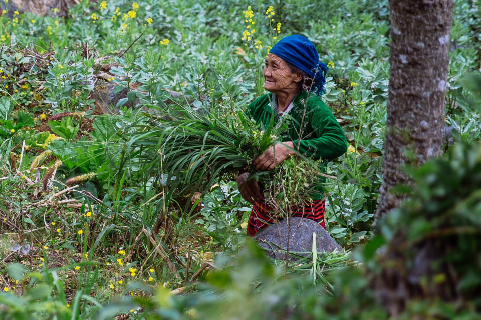 Foto ke galerii Vietnam