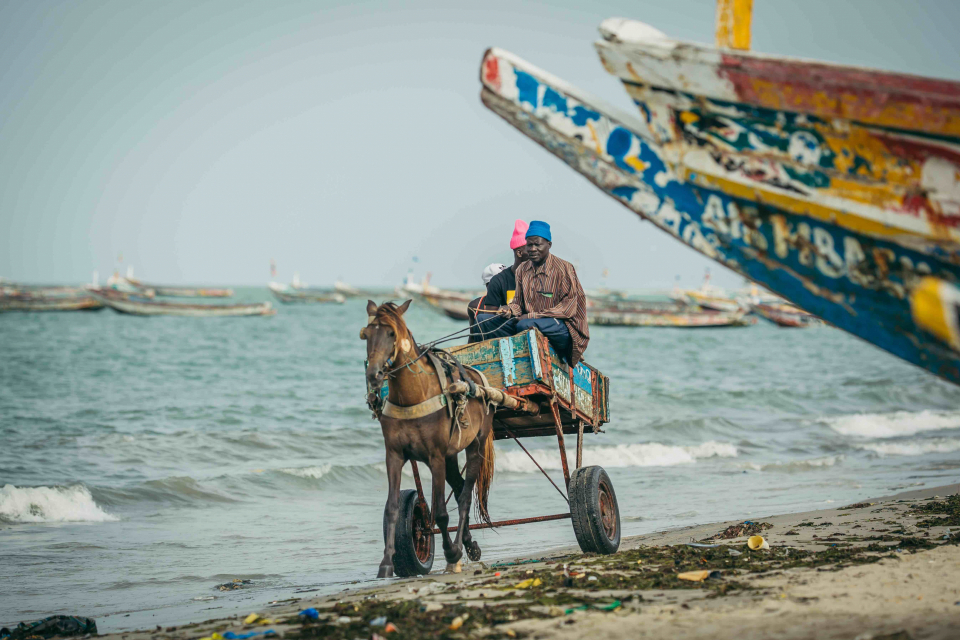 Foto ke galerii Senegal