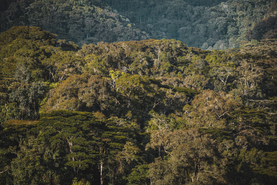 Foto ke galerii Uganda