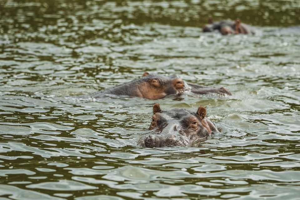 Foto ke galerii Uganda