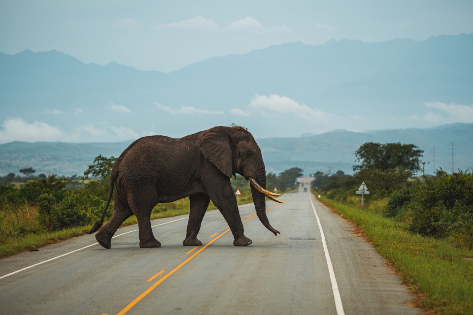Foto ke galerii Uganda
