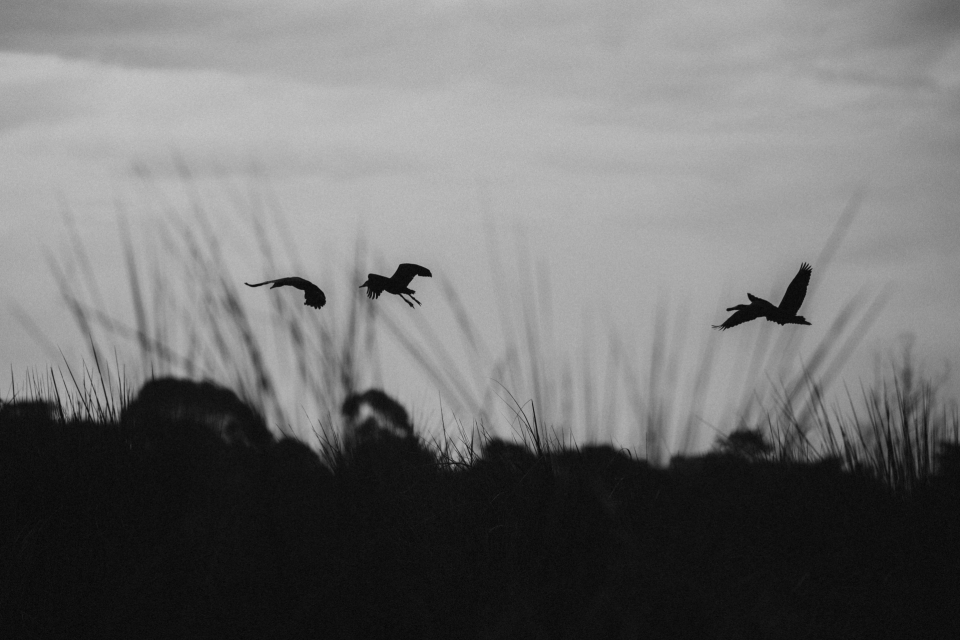 Foto ke galerii Uganda