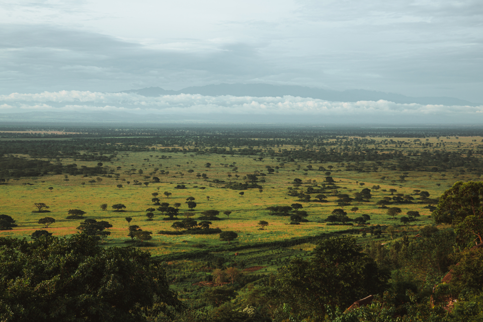 Foto ke galerii Uganda