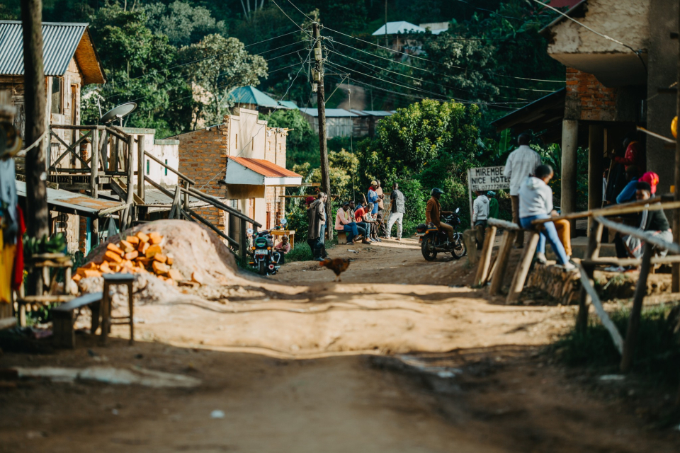 Foto ke galerii Pozorování goril horských v Ugandě
