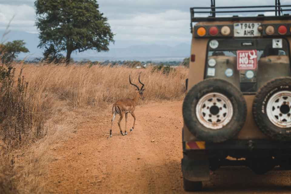 Foto ke galerii Safari v národní parku Mikumi v Tanzánii