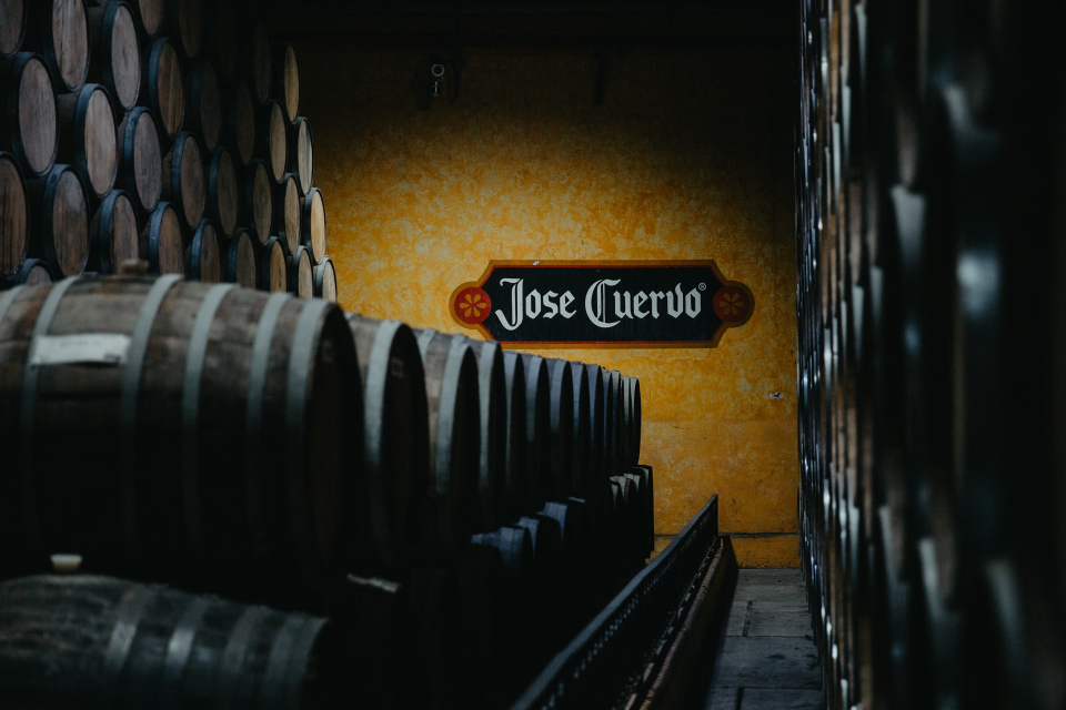 Foto ke galerii Tequila v Mexiku