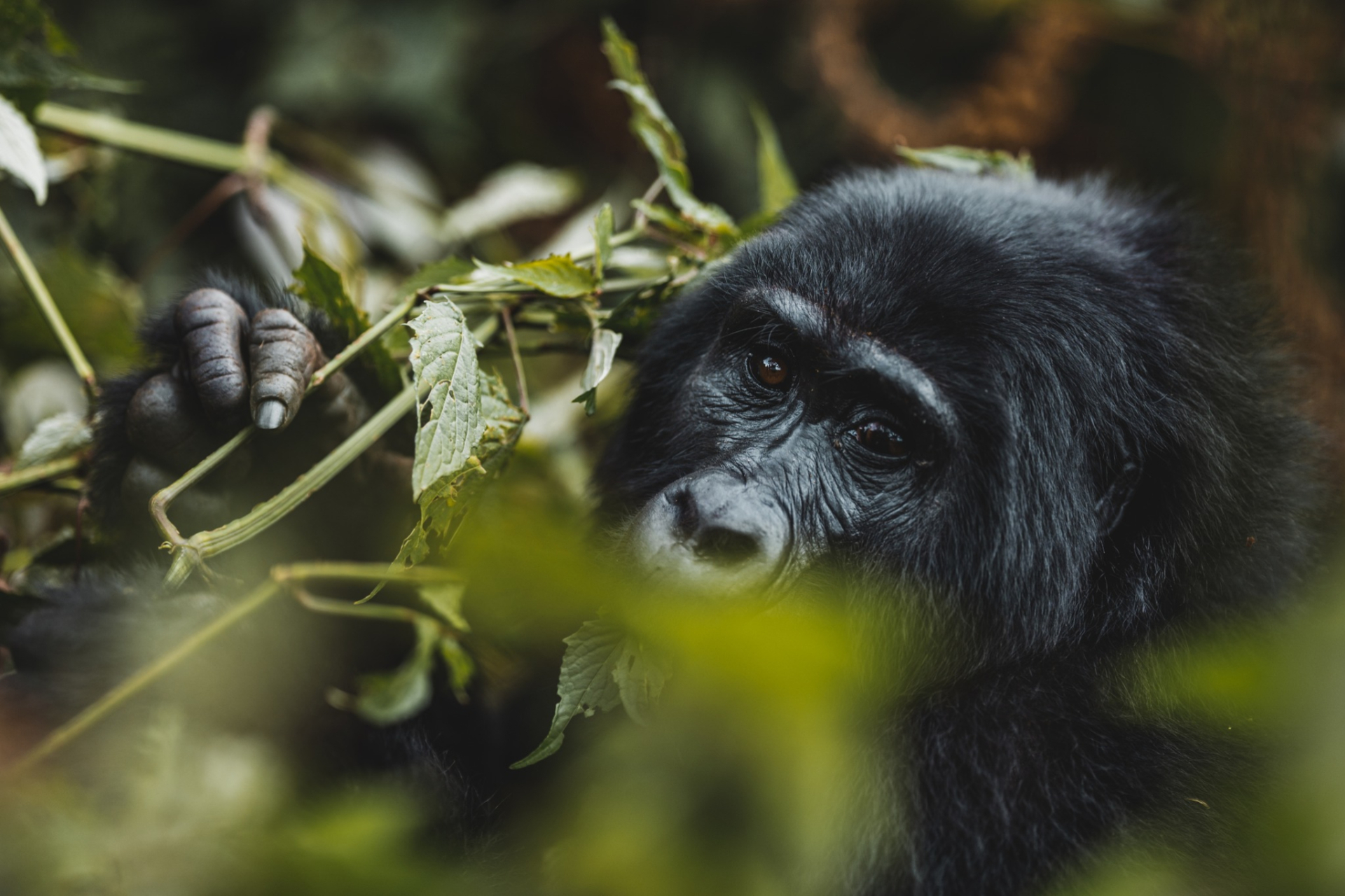 Foto k novince Další přednáška Uganda ~ Perla Afriky v pondělí 15.5. od 19 hodin v Divadelce v Písku